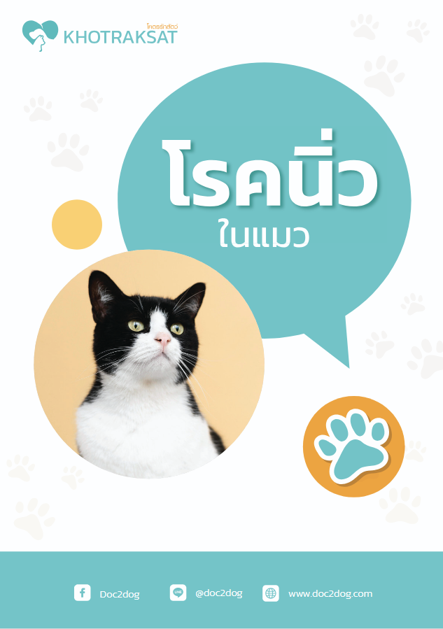 E-Book โรคนิ่วแมว